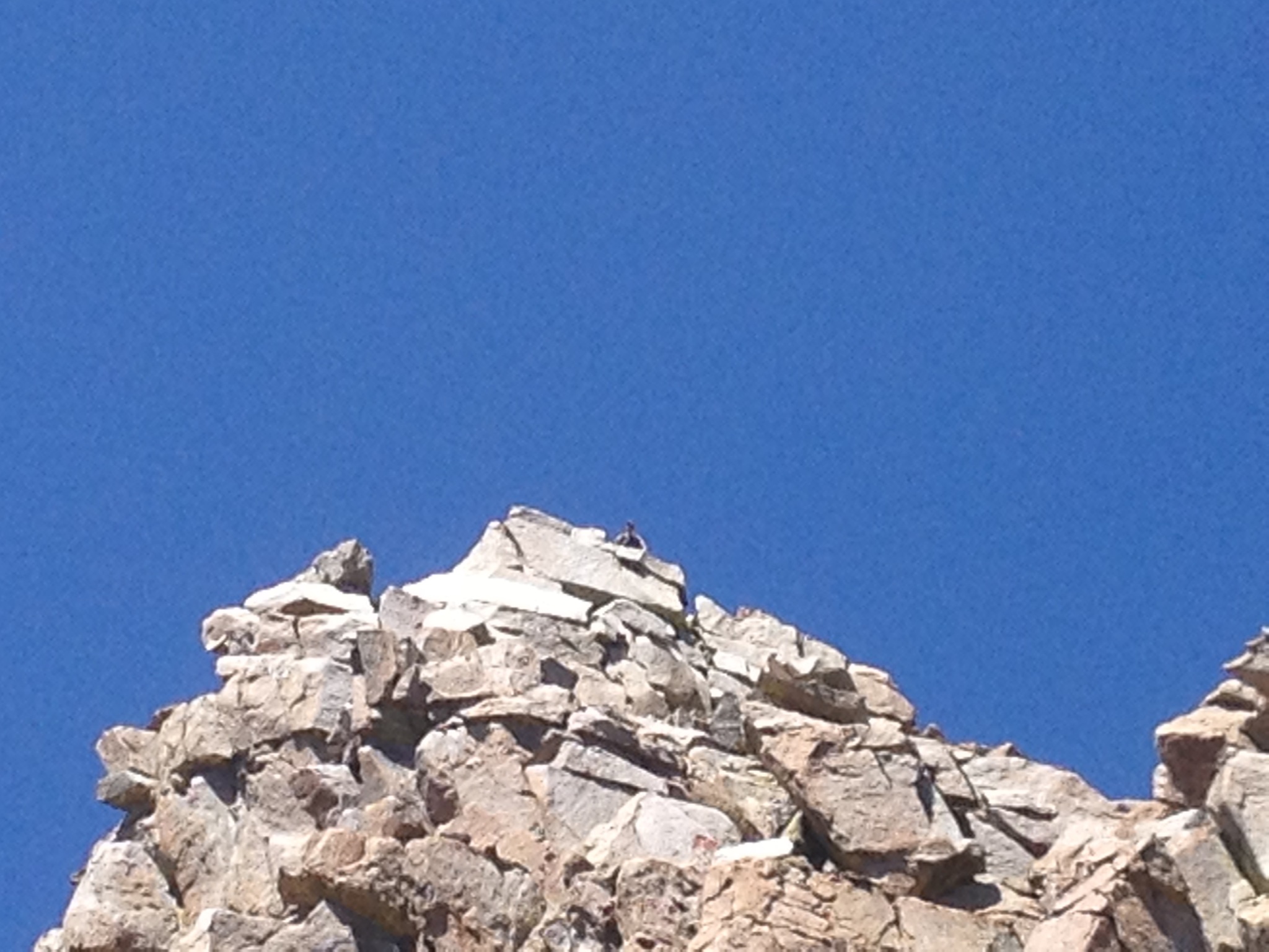 Me on the peak
