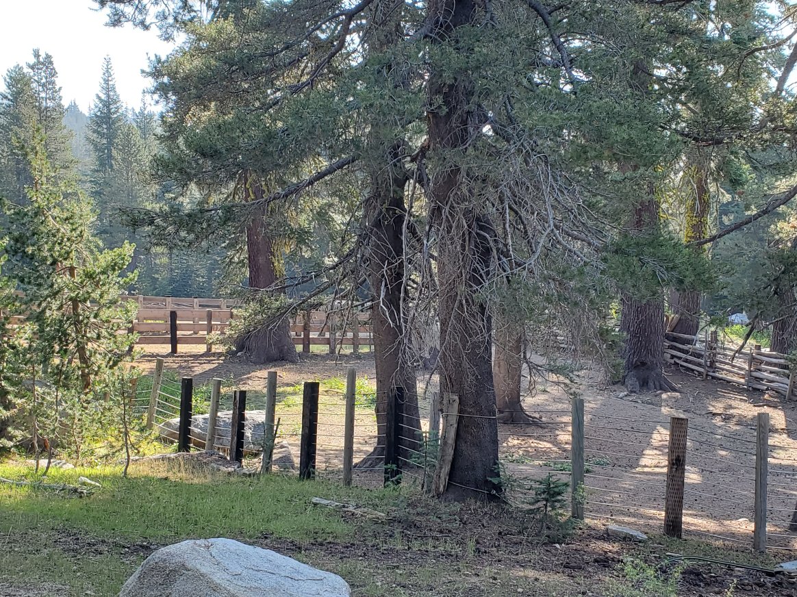 Trailhead corral