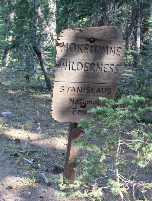 Into the wilderness