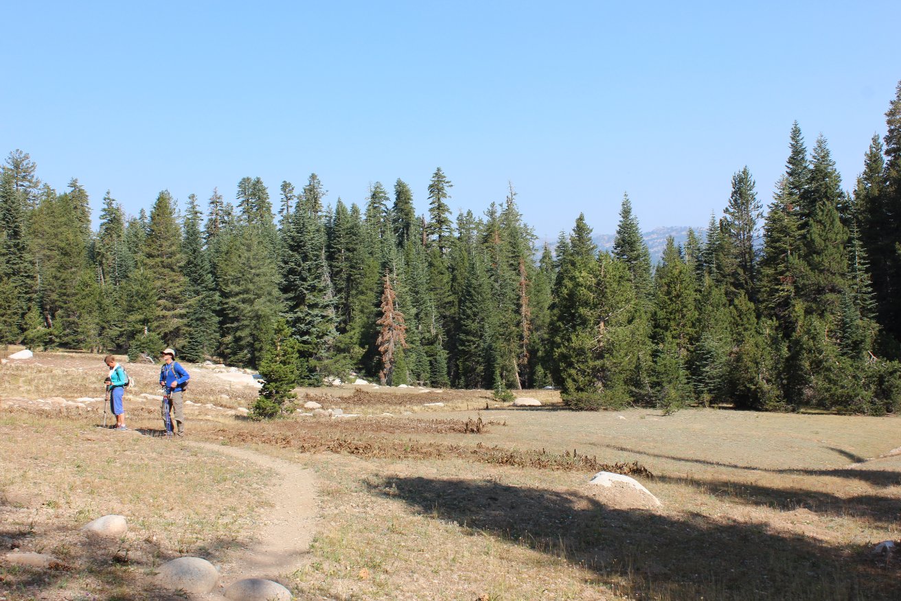 Sandy Meadow