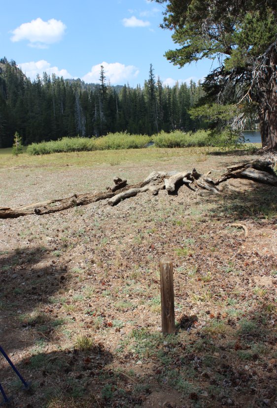 Woodchuck Basin junction